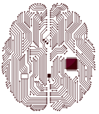 brain
