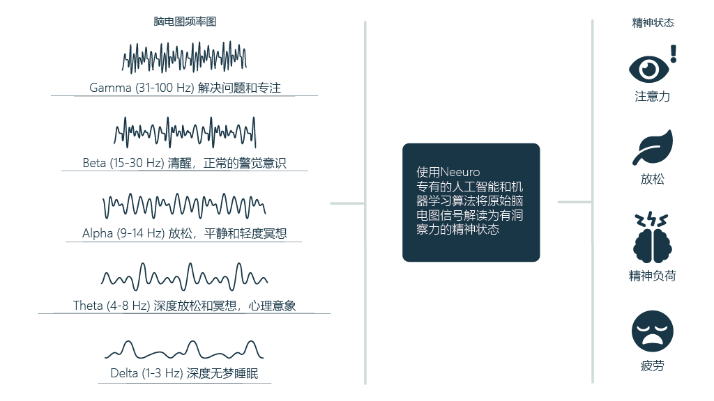 20230630_Website_SenzeBand 2_HowItWorks_EEGFrequency_1024x576_CN