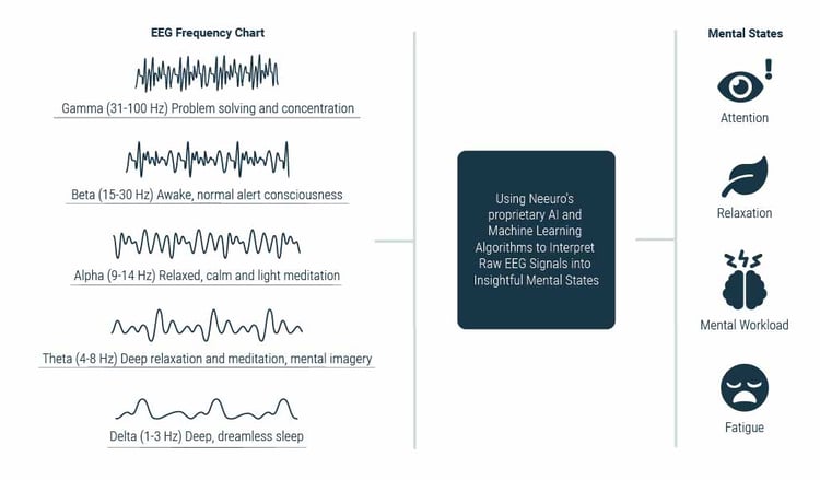 EEG Chart