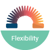 20230111_Website_NFIT Class_Cognitive Icons_Flexibility_100x100
