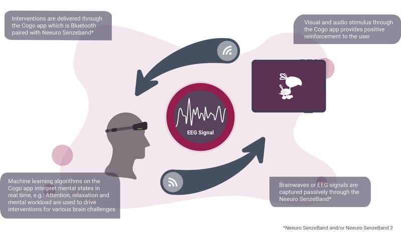 EEG Diagram