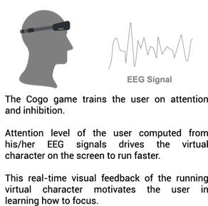 EEG Signal Information