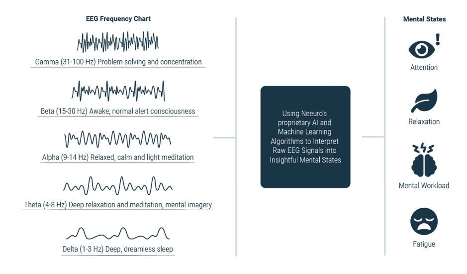 20230203_Website_SenzeBand 2_HowItWorks_1_EEG Chart_1024x600_EN