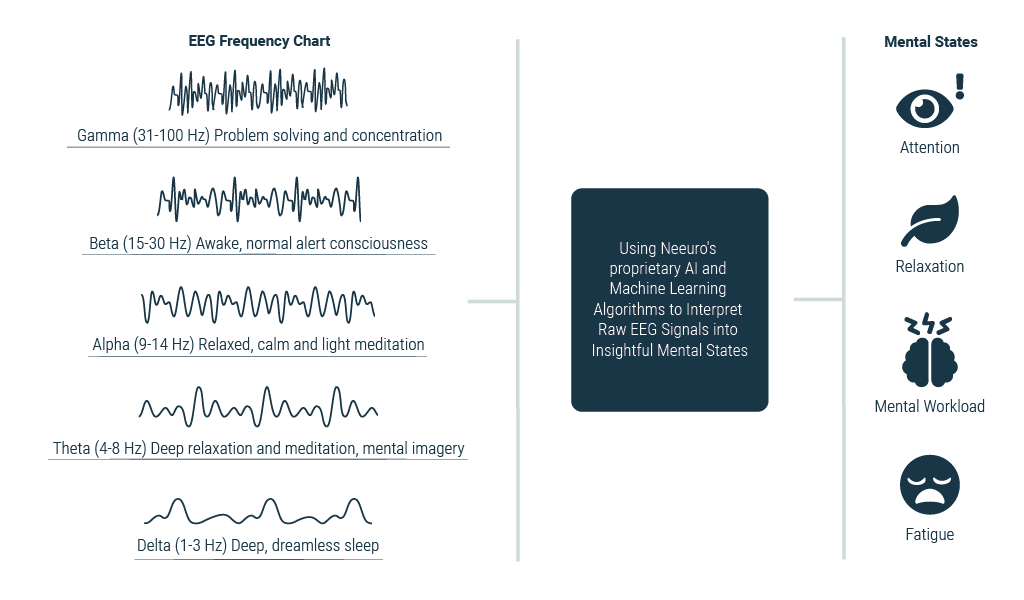 Interpret Raw EEG Signals to Insightful Mental States