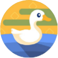 Sitting Ducks