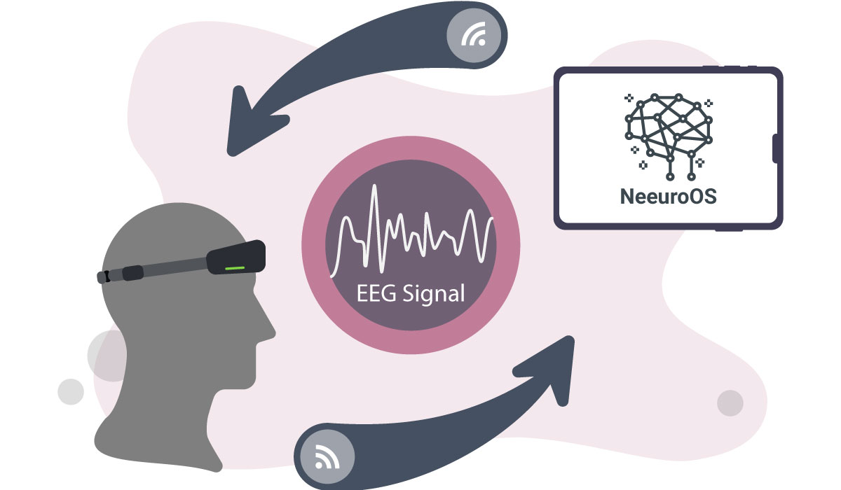 EEG Signal and NeeuroOS