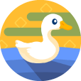 20221117_Website_NFIT Class_Game Icons_Ducks_114x114