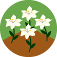 20221117_Website_NFIT Class_Game Icons_Flower Garden_114x114